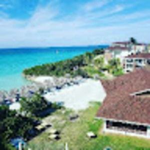 Meet your Posher, Aloe